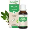 Image de HerbalGem - Bourgeon de figuier - 30 ml