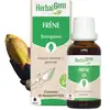Image de HerbalGem - Bourgeon de Frêne - 30 ml
