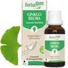 Image de HerbalGem - Bourgeon de Ginkgo Biloba - 30 ml
