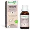 Image de HerbalGem - Artigem - complexe articulations - 30 ml