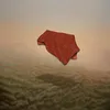 Image de Come With Me and Hide/Vinyle Rouge