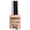 Image de Andreia Hybrid Gel Fusion Color H11