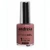 Image de Andreia Hybrid Gel Fusion Color H62