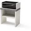 Image de MAESTRO FERRETERO TUOZI - Barbecue Fixe pour Bois et Charbon modèle Plan 1 Plus (Gris/Blanc - 78 x 47 x 102 cm) REF: 8025/2 - Robuste, Parfait Jardin terrasse