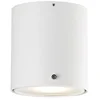 Image de Nordlux 78511001 Downlight, métal, GU10, blanc 10 cm