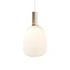 Image de Nordlux Luminaire à suspendre Alton 23 47303001 E27 Puissance: 60 W N/A