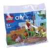 Image de LEGO City Polybag-Bauernhofgarten PolybagBauernhofgarten mit Vogelscheuche (30590) en occasion ou reconditionné