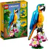 Image de Creator 3-en-1 - Perroquet exotique, Jouets de construction