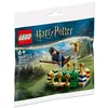 Image de LEGO® Harry Potter 30651 L entraînement de Quidditch
