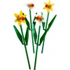 Image de LEGO Jonquilles 40646 Blanches,jaunes