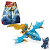 Image de LEGO Ninjago L’Attaque du Dragon Rebelle de NYA, Set de Ninja avec Jouet de Dragon et Figurines incluant NYA avec Mini-Katana, Cadeau pour Garçons et Filles Dès 6 Ans 71802
