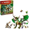 Image de Ninjago Le Dragon de la Vie, Jouets de construction