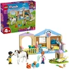 Image de Clinique vétérinaire Friends, Jouets de construction
