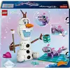 Image de LEGO Disney Princess le Pique-Nique d'Olaf et Bruni 43287 LEGO