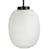 Image de Dyberg Larsen DL39 suspension Ø 25 cm opale/noir