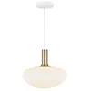 Image de Nordlux Luminaire en suspension Alton 35 48973001 E27 Puissance: 60 W