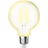 Image de Nordlux Globe LED G95 E27 4,7W CCT 650lm filament dimmable
