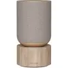 Image de Enceinte résidentielle BANG & OLUFSEN Balance Chene clair