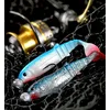 Image de Savage Gear Cannibal Shads Leurre de pêche en caoutchouc (6,8cm, 8cm, 10cm, 12,5cm) appât de perche, sandre, brochet, morue et de flétan, Golden Ambulance - Sonderfarbe, 8cm / 5g