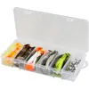 Image de Savage Gear Cannibal Shad Kit - 6pk de shads efficaces de Couleurs Multiples avec têtes de jigs - Idéal pour Les pêcheurs ciblant la Perche et Le brochet en Eau Douce et en Eau salée Assortis Variés