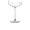Image de EVA SOLO | Champagne Coupe | Verre soufflé à la bouche unique avec bord oblique emblématique | Verres à vin