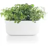 Image de Eva Solo Organisateur d'herbes à arrosage Automatique Blanc