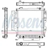 Image de NISSENS Radiateur, refroidissement du moteur 60993