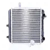 Image de Radiateur, refroidissement du moteur NISSENS 60363 gauche