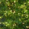 Image de Sirius Guirlande LED Knirke pour l'extérieur, 160 lampes