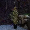 Image de Sirius Arbre à LED Milas Cedar Tree en pot, pour l'extérieur