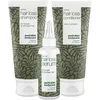 Image de Kit Anti-Chute de Cheveux Australian Bodycare | 3 Produits Problèmes de Chute Cheveux | Comprend: Sérum Anti-Chute (100ml), Shampoing Anti-Chute (200ml) et Conditioner Anti-Chute (200ml)
