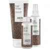 Image de Kit anti-poux à l'huile d'arbre à thé - Solution ultime pour éliminer les poux et les lentes avec un rinçage capillaire, un spray capillaire et un traitement anti-poux