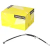 Image de TRISCAN Flexible de frein 8150 18138 Compatible avec KIA SORENTO I JC SORENTO I VAN JC