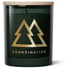 Image de Skandinavisk Skog 'Forest' Bougie parfumée Édition spéciale Gold Notes parfumées : aiguilles de pin et pommes de sapin, sève de bouleau et muguet, formule végétalienne, 65 g