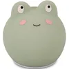 Image de Filibabba - Lampe LED - Frey the frog (FI-01818)
