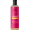 Image de Urtekram Shampooing - Rose - Cheveux Normaux - 250 ml, Végétalien, Bio, Hydratant, Origine Naturelle
