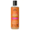 Image de Urtekram Shampoing pour enfants - Calendula - Shampooing doux - Végétalien, Bio, Origine Naturelle, (250 ml, Lot de 1)