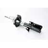 Image de Magnum Technology AGM008MT Lot de 2 amortisseurs avant pression de gaz