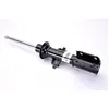 Image de Magnum Technology AGR046MT 2x Amortisseur Jambe de suspension Pression de gaz Essieu avant Kit amortisseur