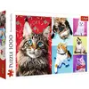Image de Trefl 1000 el. Weso e koty [Puzzle]