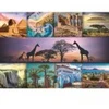 Image de Trefl Afrique