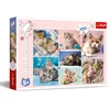 Image de Trefl - Puzzle - dans Le Monde des Chats 100 Pièces, pour Les Enfants à partir de 5 Ans