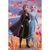 Image de Trefl Mini Puzzle - Dans l'univers d'Anna & Elsa - Disney La Reine des Neiges II