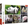Image de Trefl 26145 Puzzle, Katzensachen, 1500 Teile, Collage, für Kinder AB 12 Jahren