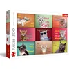 Image de Trefl - Portraits Amusants des Chats - Puzzle 1500 Pièces - Puzzle DIY avec Chats Amusants, Divertissement créatif, Loisir, Puzzle Classiques pour Les Adultes et Les Enfants à partir de 12 Ans