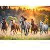Image de Trefl Chevaux Sauvages
