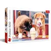 Image de Trefl TR37272, Premium Puzzle 500 Teile - Zeit für Eiscreme!, Premium Puzzle mit 500 Teilen