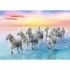 Image de Trefl Galloping White Horses
