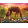 Image de Trefl Chevaux Dans Le Pré