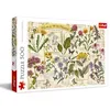 Image de Trefl Herbier : Herbes médicinales 500 Pièces DIY avec Image Rétro, Plantes, Divertissement créatif, Loisir, Puzzle Classiques pour Les Adultes et Les Enfants à partir de 10 Ans, 37478, Multicolour
